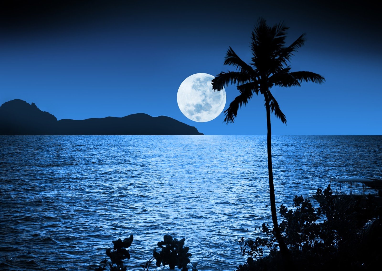 Найти картину ночь Луна и две пальмы