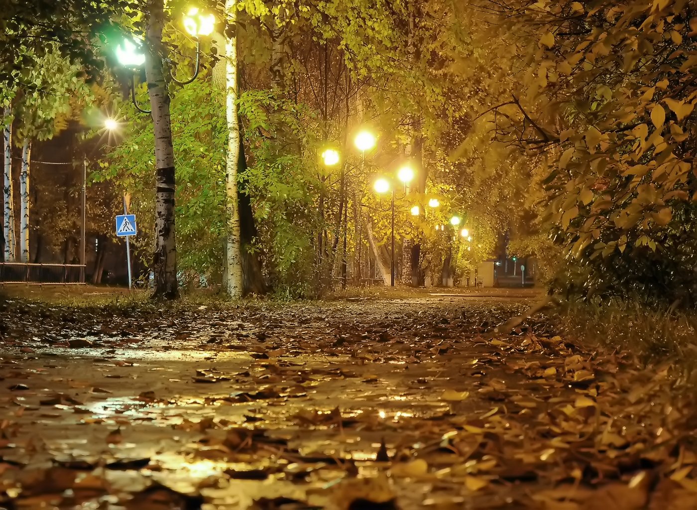 Вечер дождь осенняя. Осень в городе. Осенний вечер. Осень вечер. Осенний город.