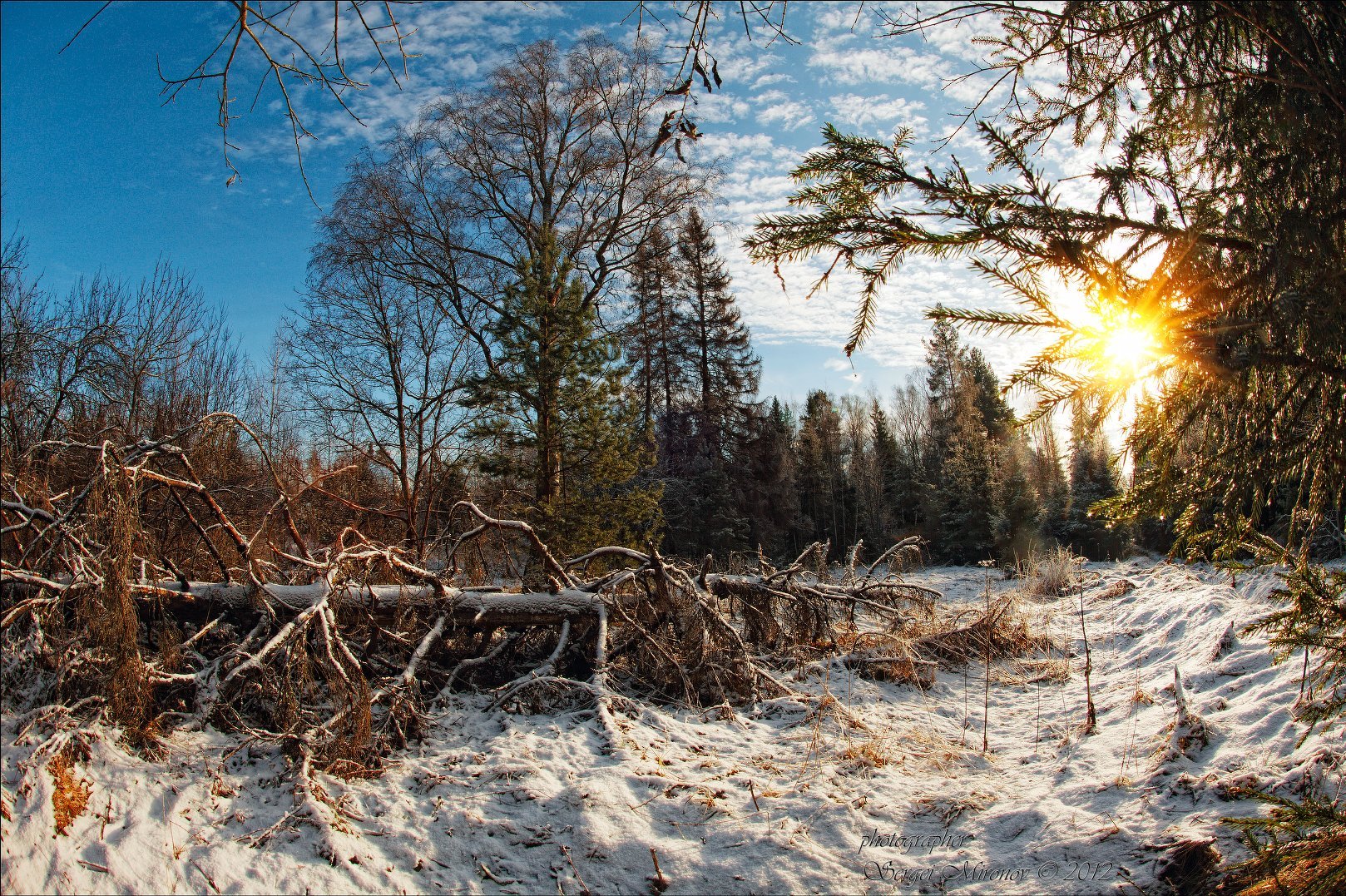Утро природа февраль. Конец зимы. Природа в конце зимы. Конец зимы в лесу. Февраль природа.