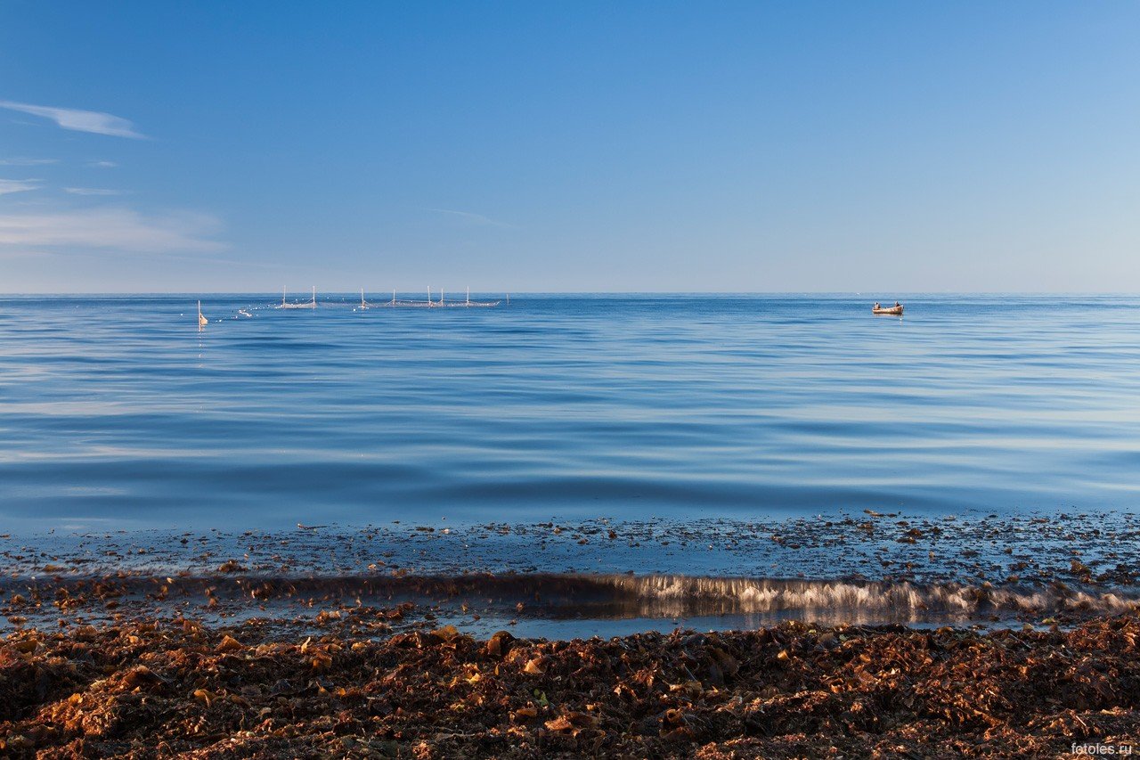 В архангельске есть море