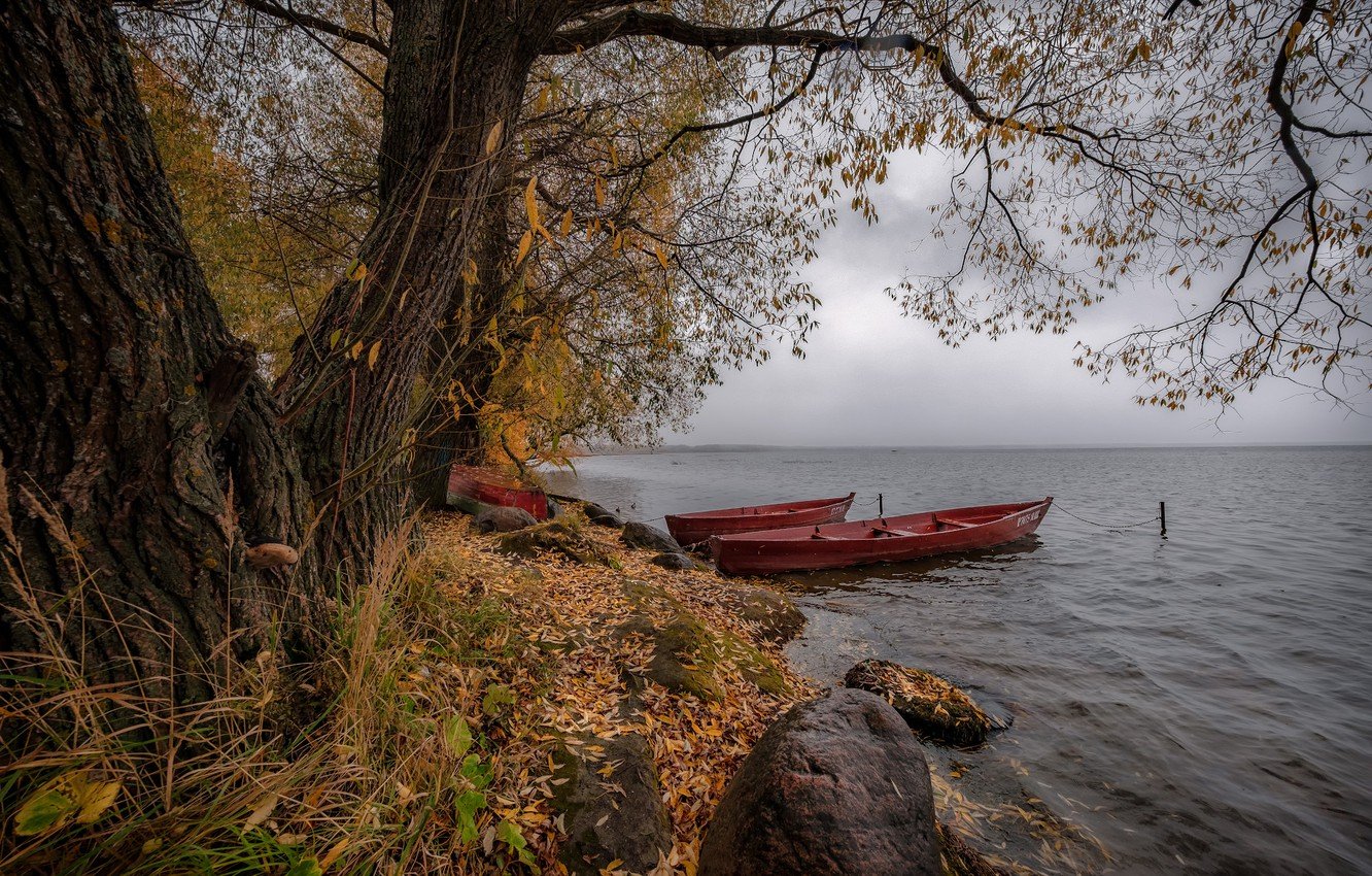 Переславль-Залесский озеро Плещеево осень