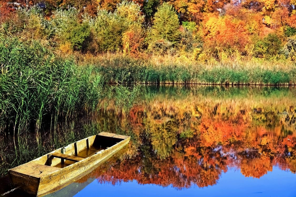 Осенний пруд с лодкой