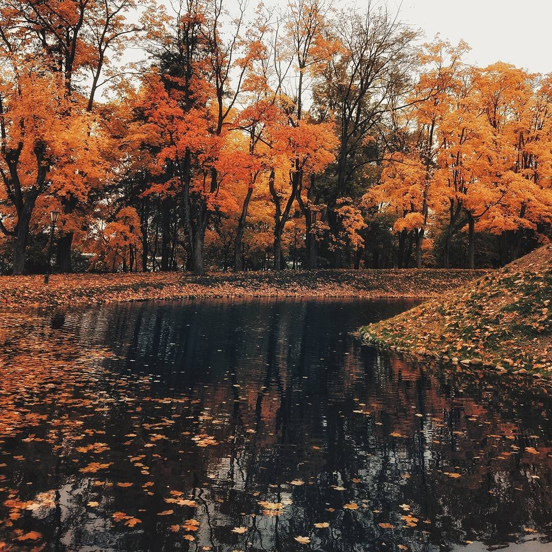 Беларусь осенью