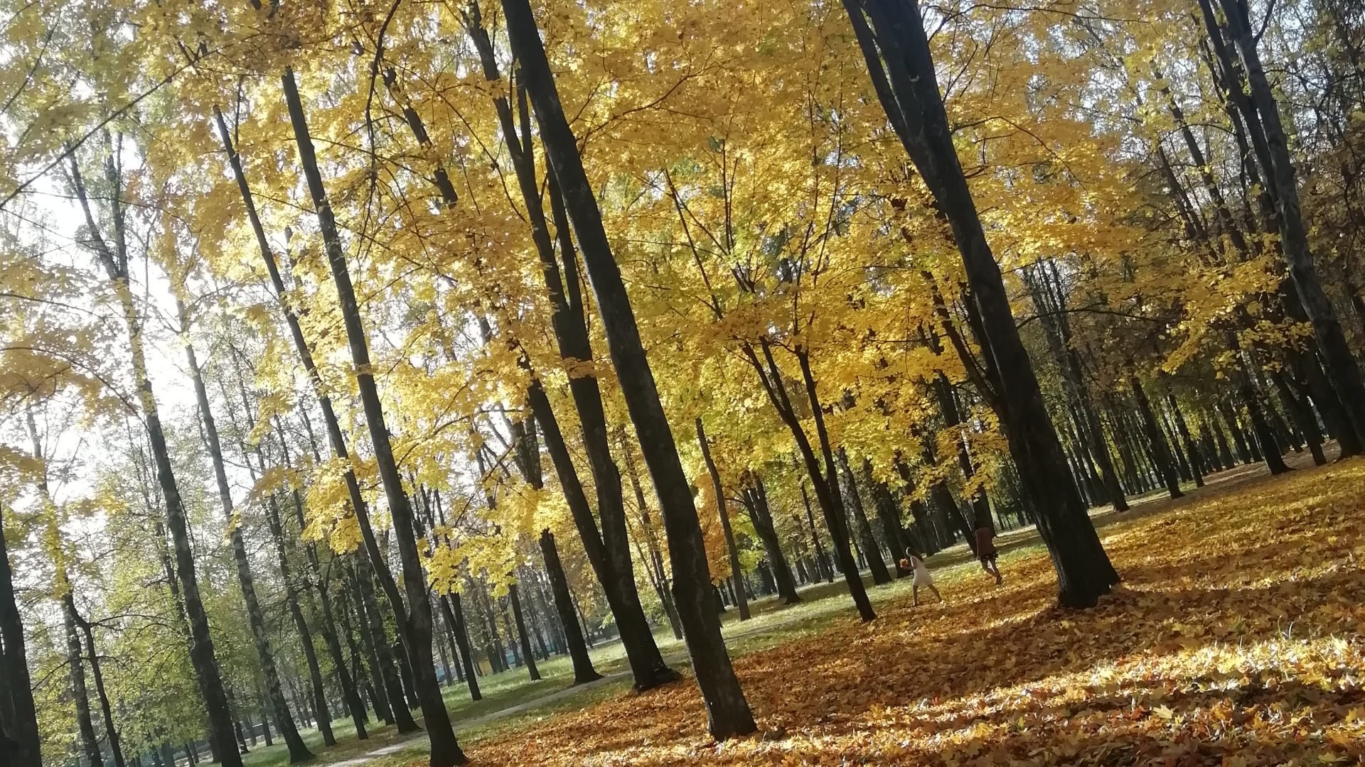 Кисловодск панорама Золотая осень