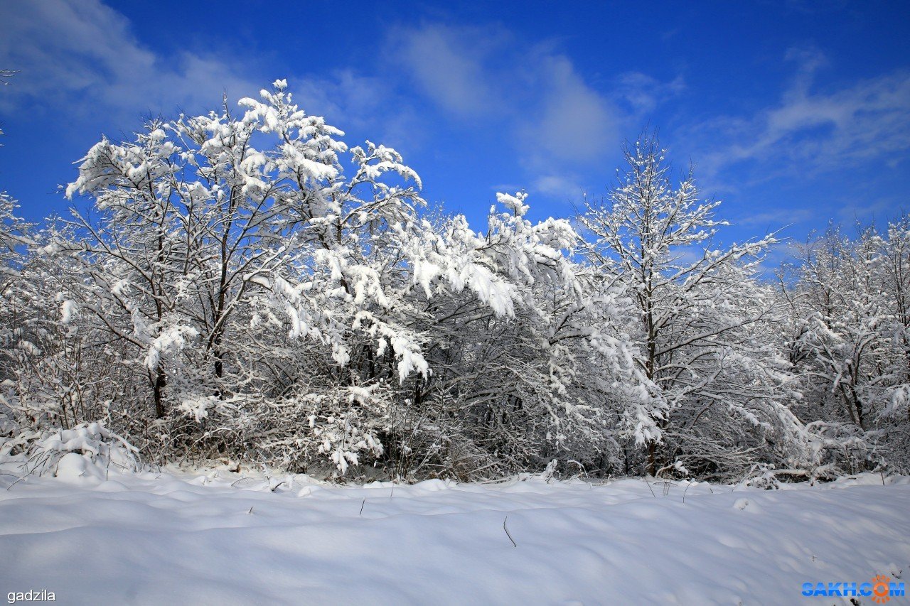 Зима на Кубани