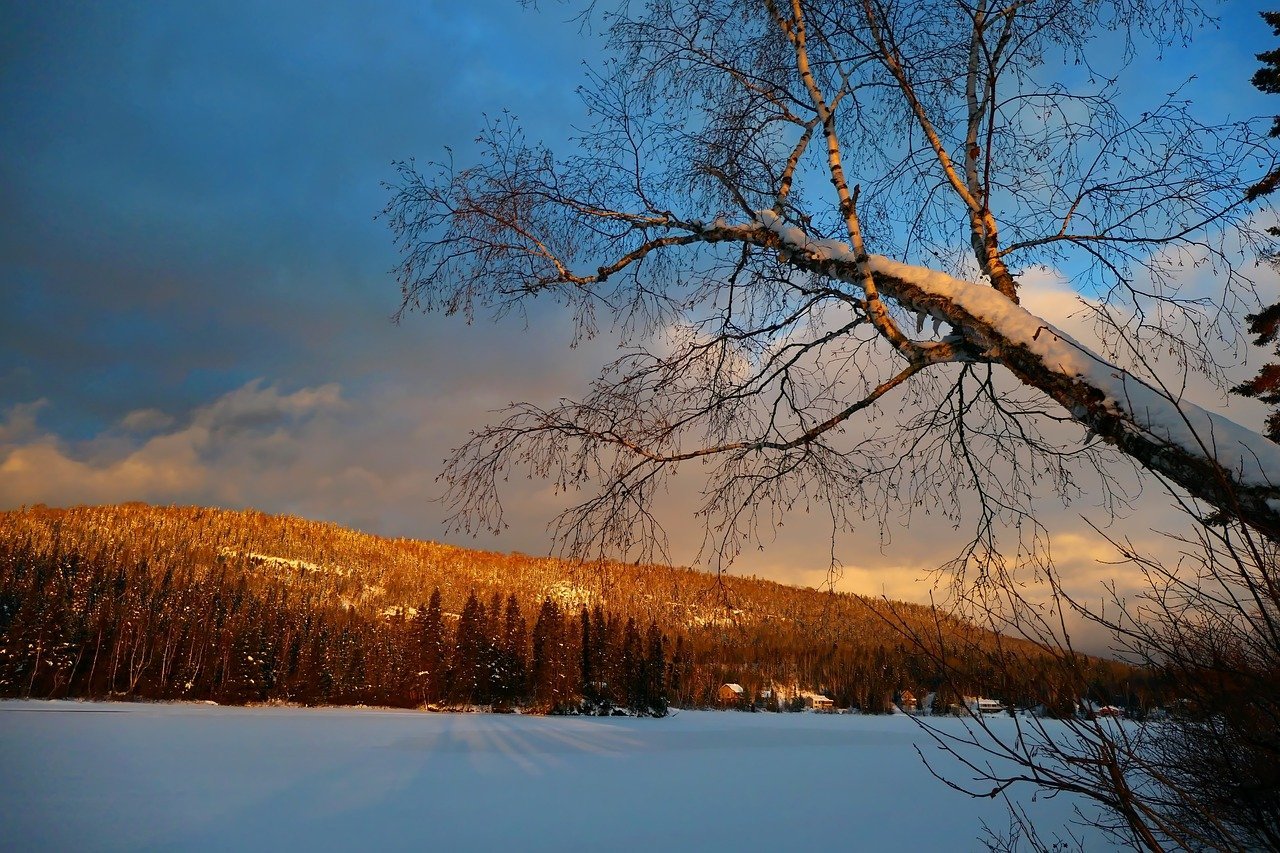 Природа Новосибирска зимой