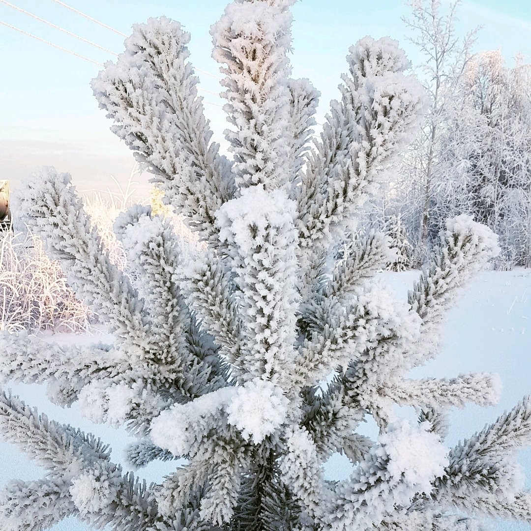 ХМАО природа зима