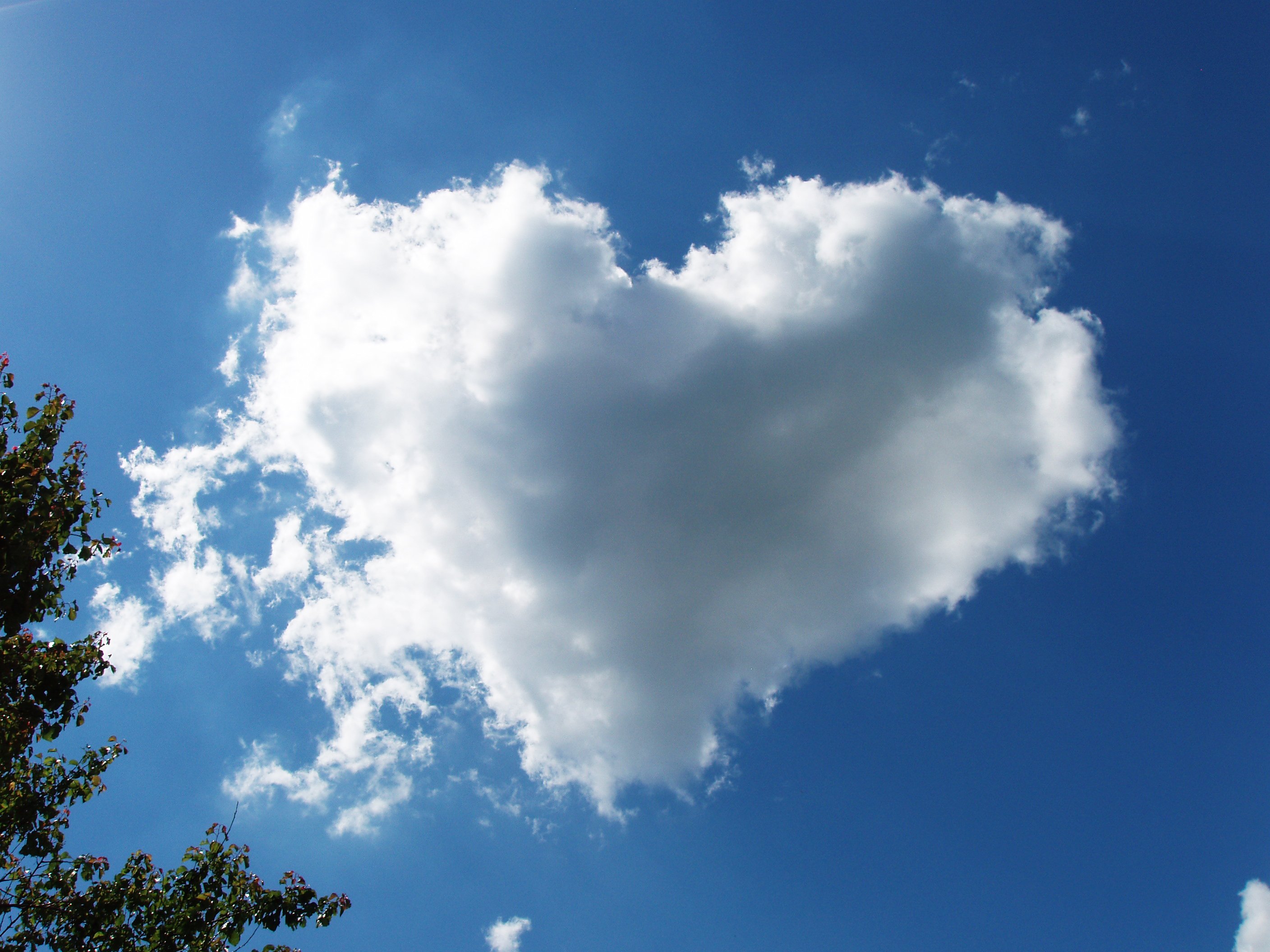 Видишь небо в облаках. Облако в виде сердца. Облако в виде сердечка. Сердце из облаков. Сердечко из облаков.