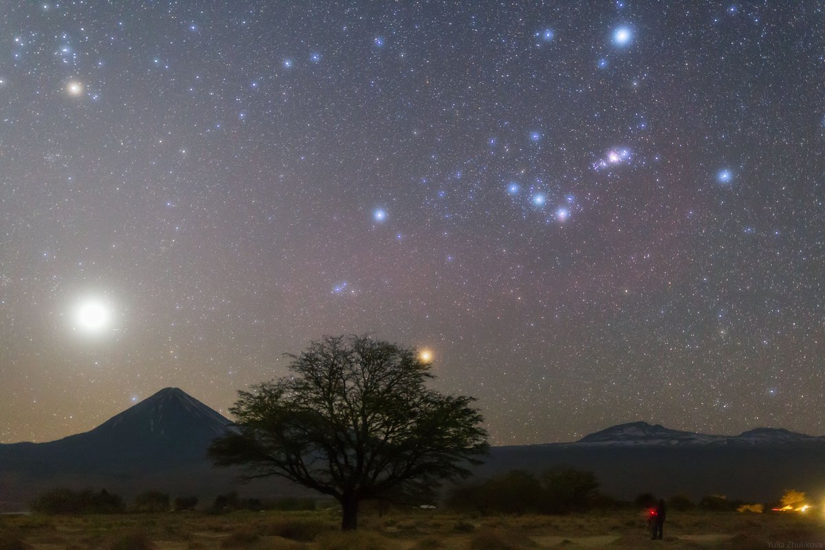 Какая звезда на юге. Созвездие Ориона и Плеяды. Созвездие Ориона с земли. Ночное небо Южного полушария. Яркая звезда на небе.