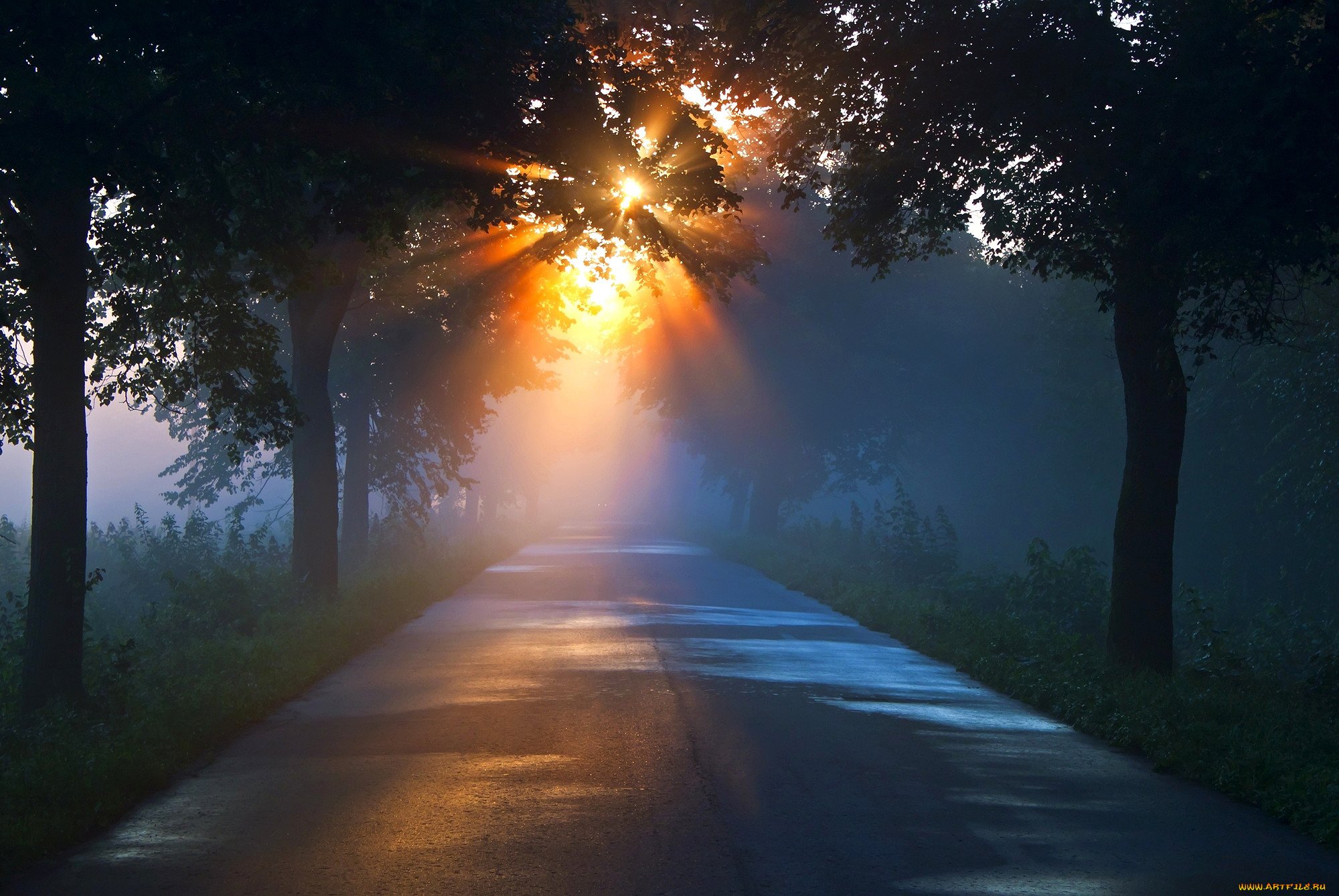 Небеса так чисты освещают нам дорогу. Летняя дорога. Солнце на дороге. Солнечная дорога. Лес дорога солнце.