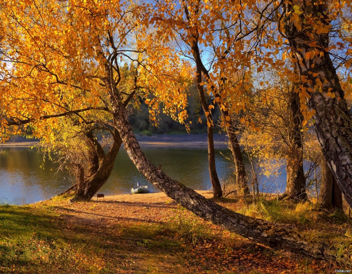 Осень на берегу реки