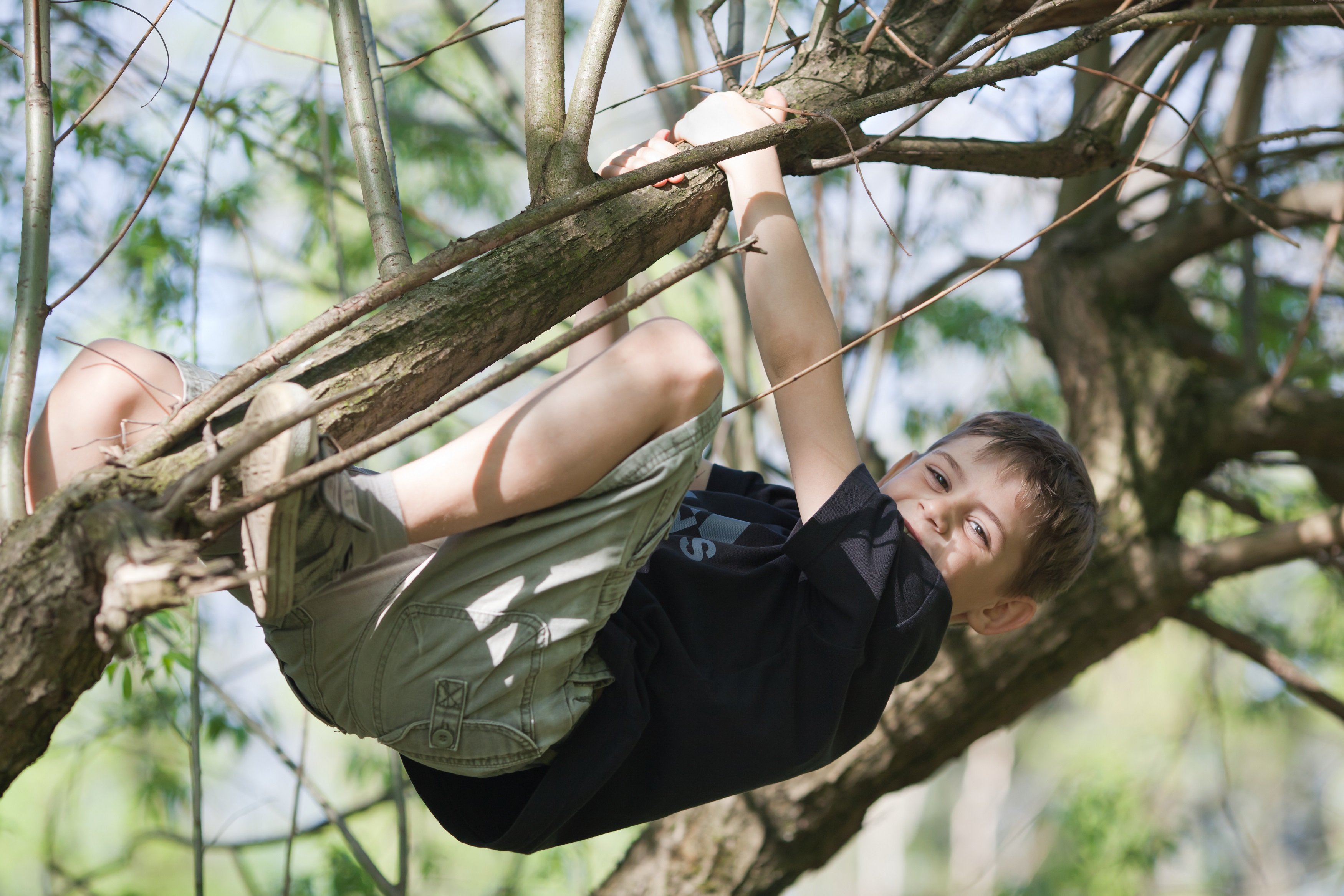 Мальчишка висит на дереве