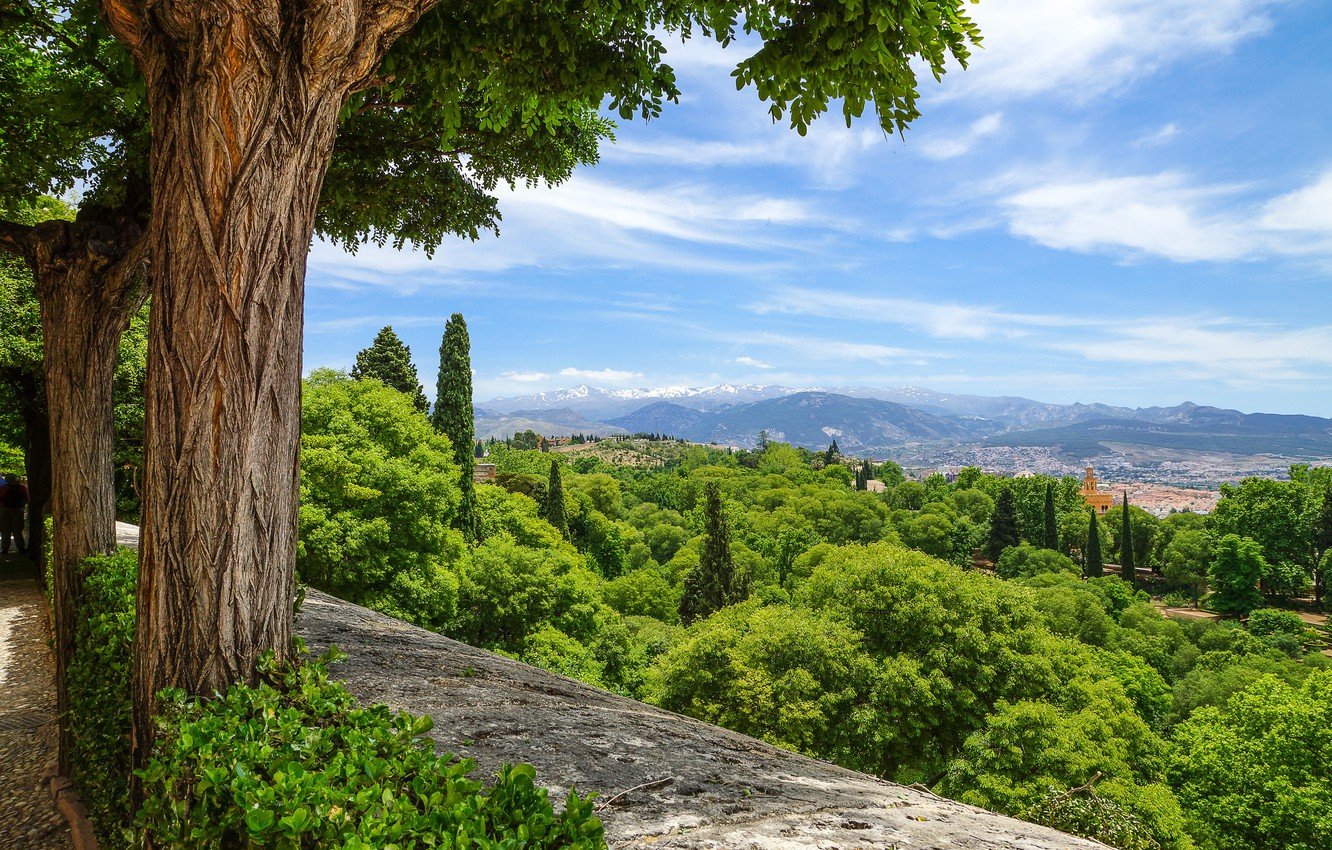 Альгамбра Испания деревья