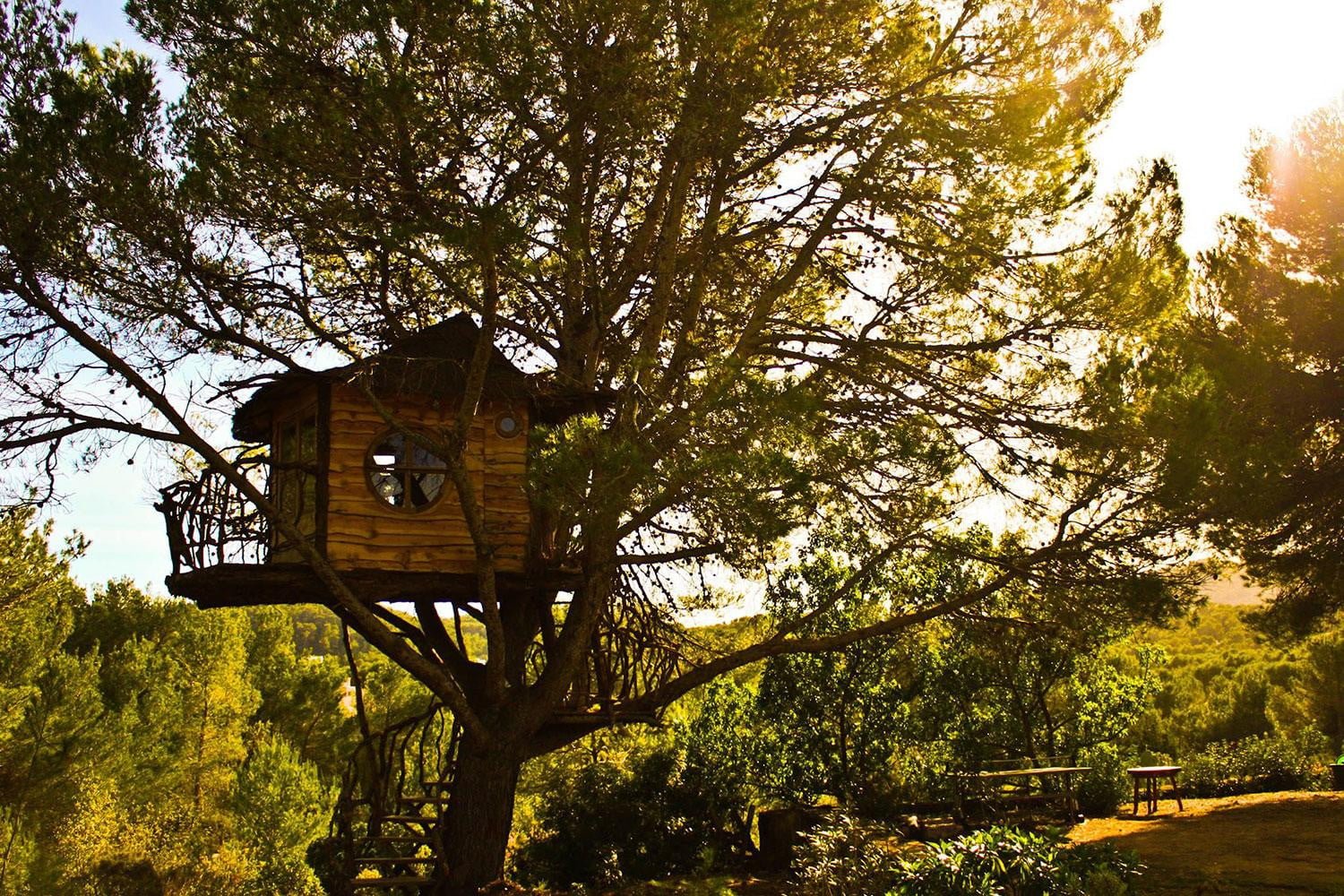 Домик на дереве. Роб де Вос дом на дереве. Необычный дом на дереве. Домик под деревом. Эстетичный домик на дереве.