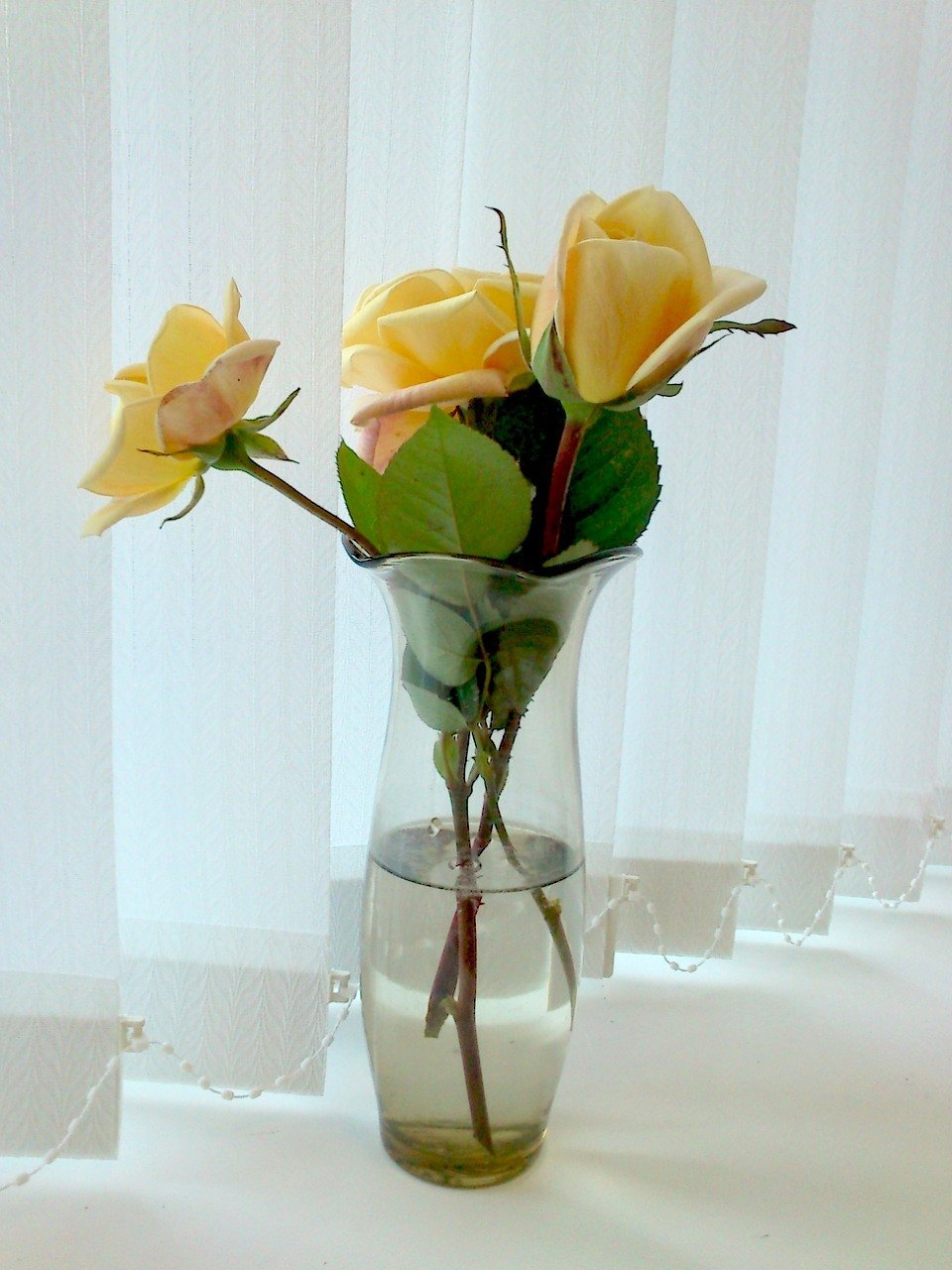 Три розы в вазе