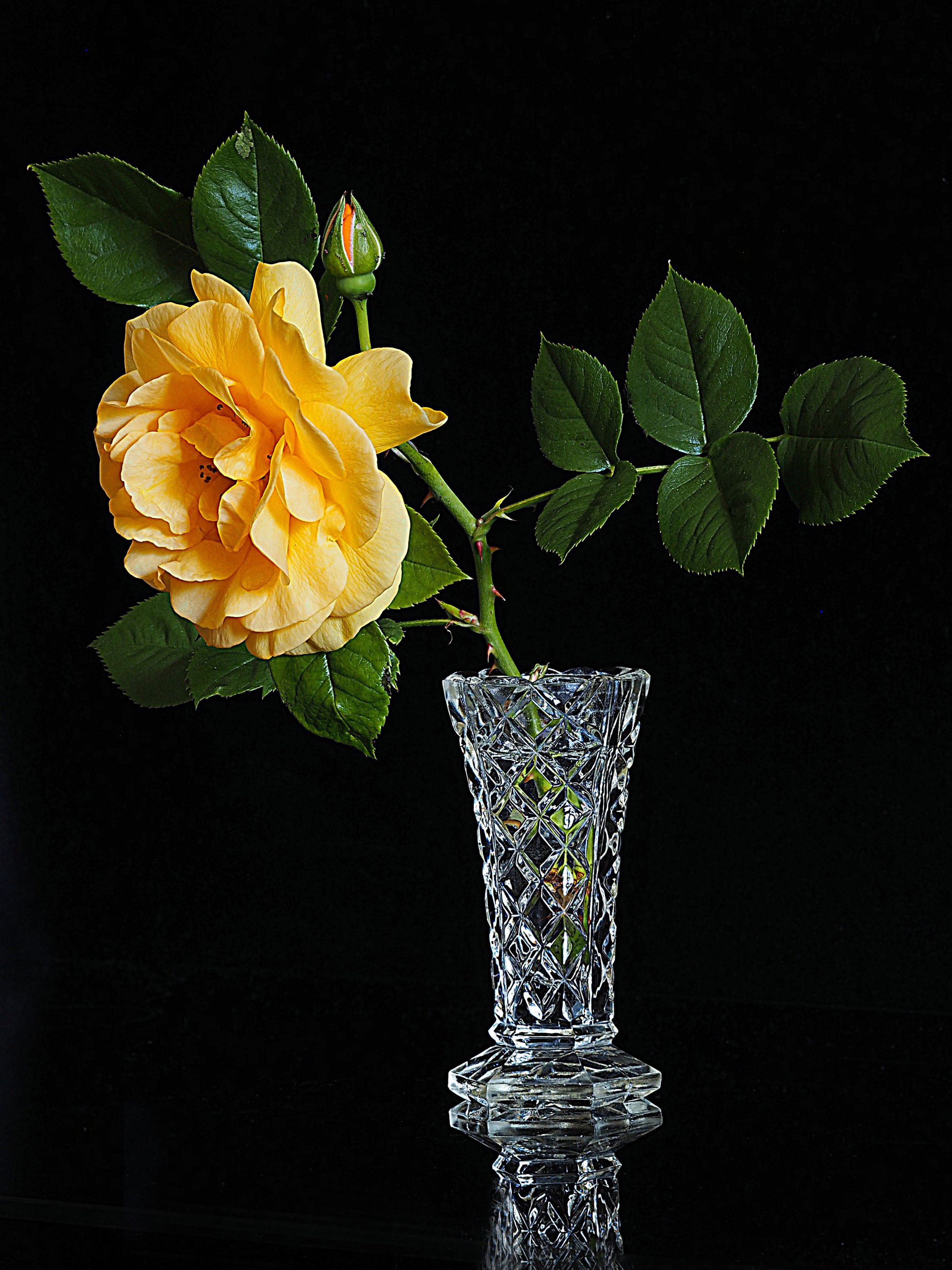Цветы в хрустальной вазе