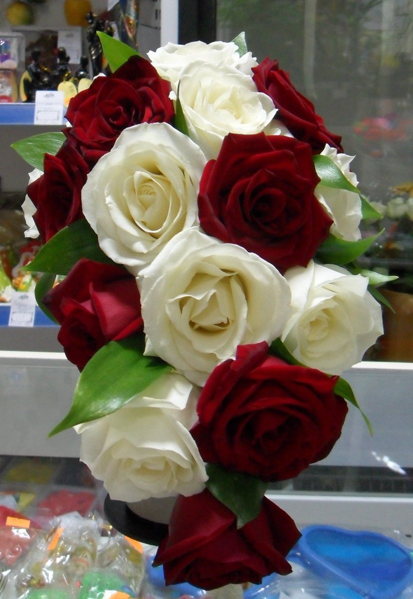 Белые и бордовые розы