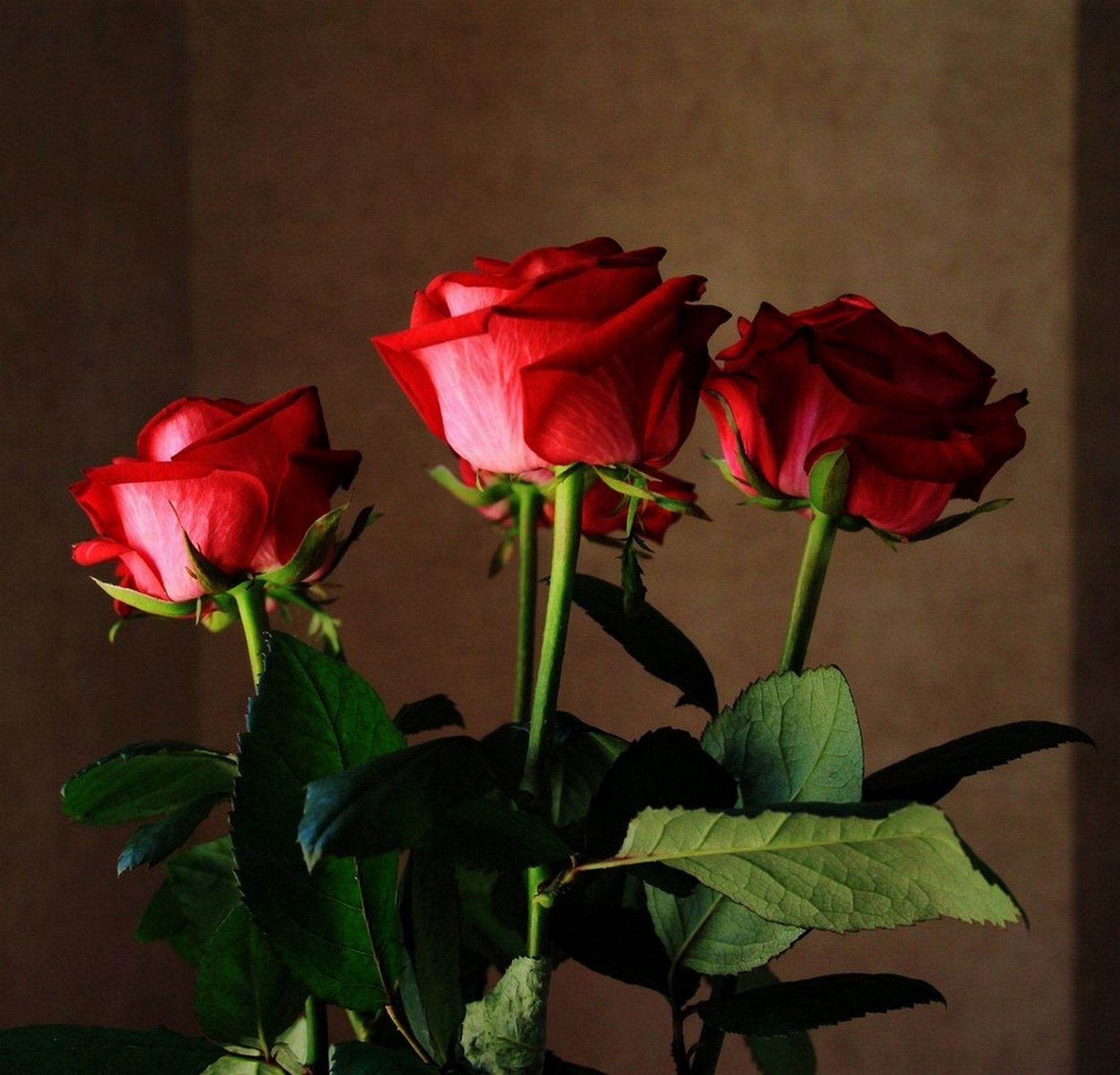 Три розы в вазе. Красные розы. Три розы. Пять красных роз. Розы 3 штуки.