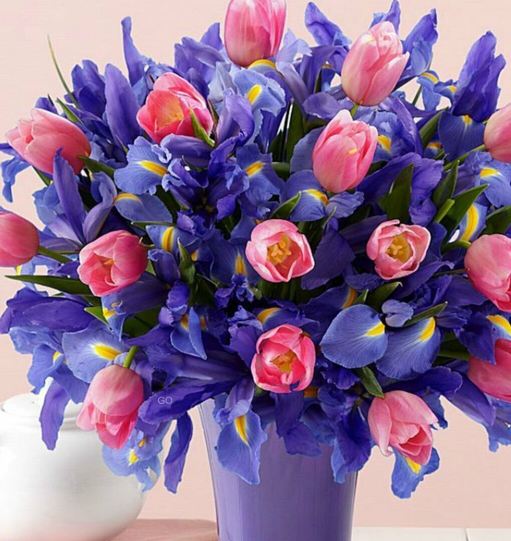 Пионовидные Тюльпаны Синего Цвета