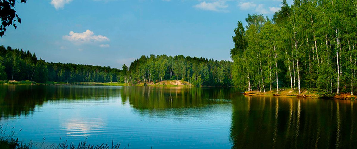 Лесное озеро Сергиев Посад