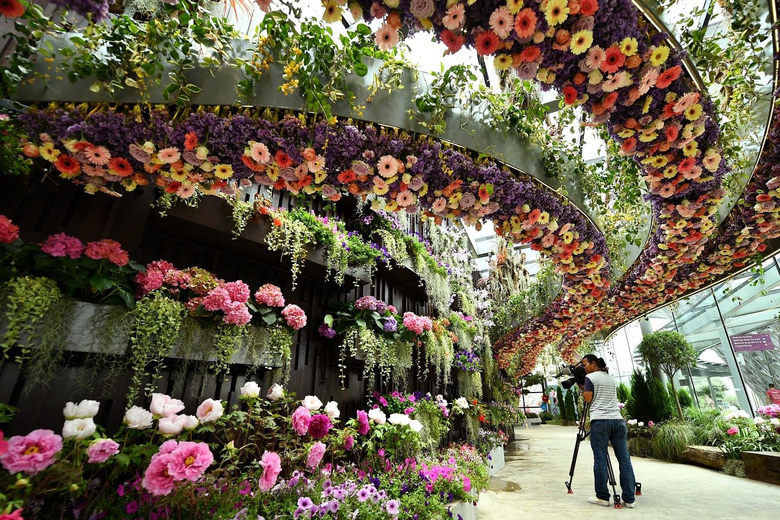 Сингапур, оранжерея 'Flower Dome'.