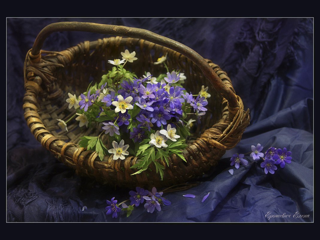 Цветы в корзине весенний натюрморт