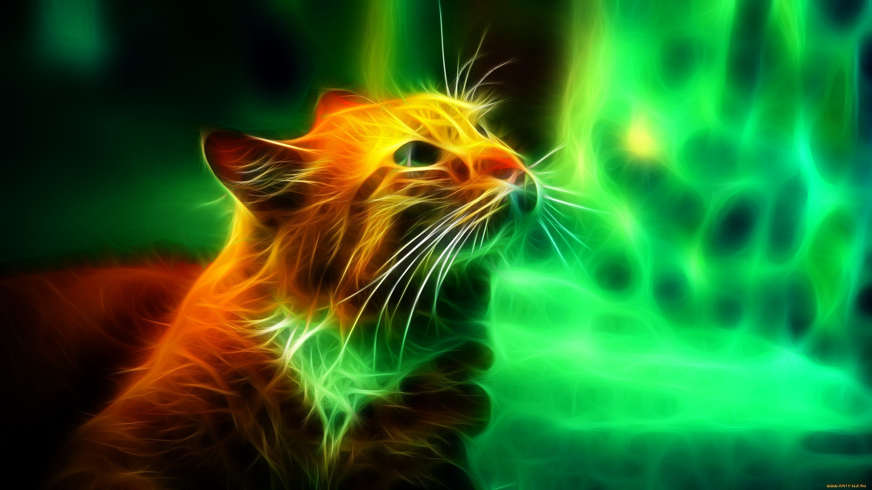 Живые обои том. Коты Воители Огнезвезд. Огненный кот. Неоновая кошка. Огненный кот обои.