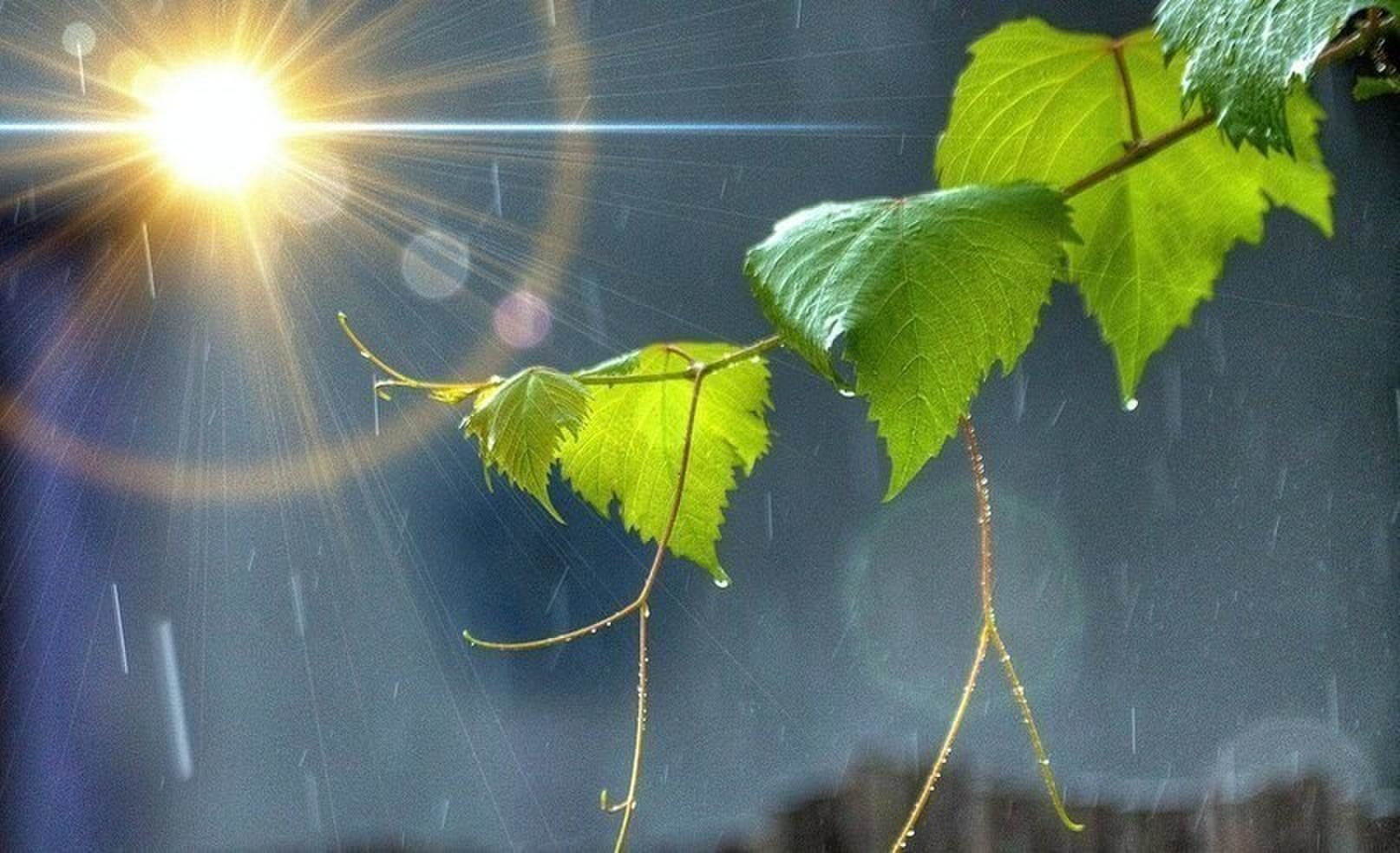 Доброе утро ветер. Солнце после дождя. Солнце в душе. Дождь и солнце. Дождь в Солнечный день.