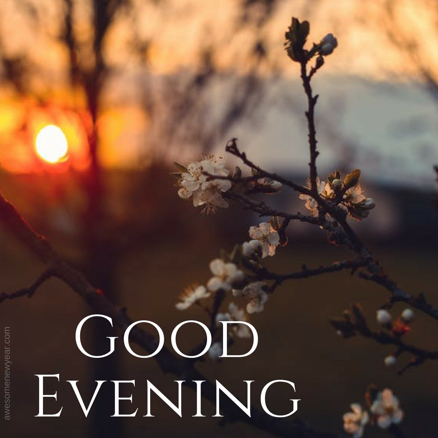 It is a beautiful evening. Гуд Ивнинг. Good Evening красивые. Фото good Evening.