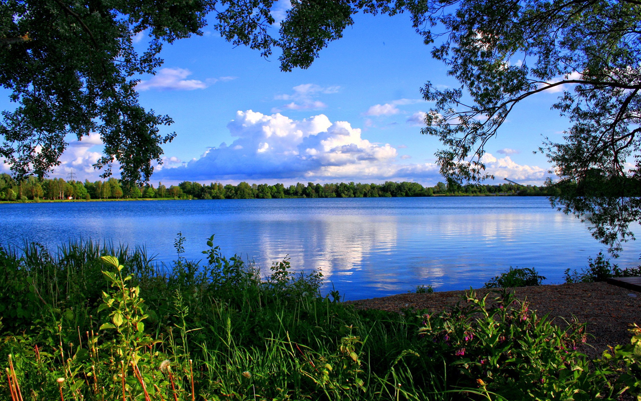 Картинки природы река. Озеро Елизаровское Псковская область. Виштынецкое озеро. Озеро стерж. Озеро Дивное Селигер.