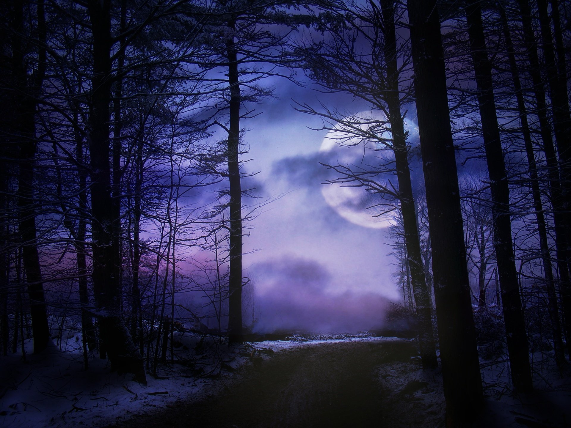 Ночь лес красиво. Ночной лес. «Ночь в лесу». Темный лес. Красивый лес ночью.
