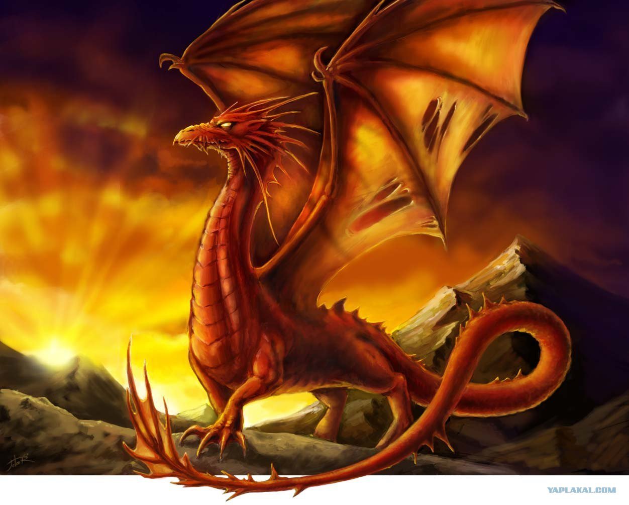 Оранжевый дракон