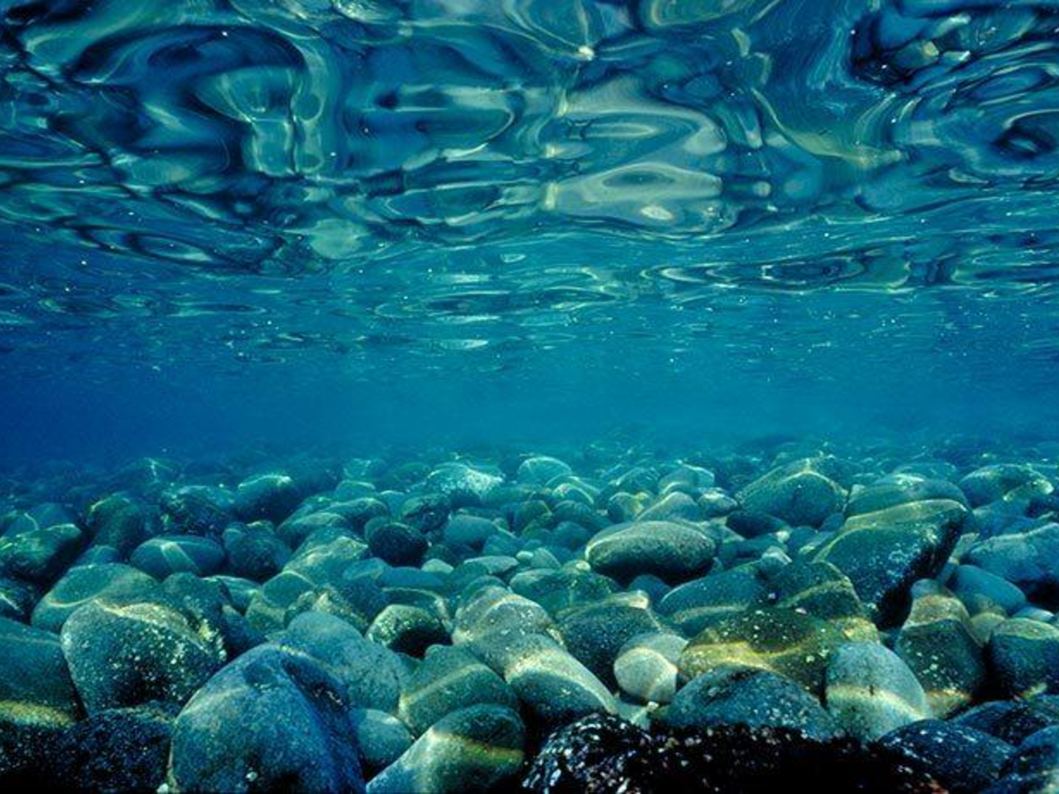 Камни вода бассейн. Море под водой. Море глубина. Океан под водой. Океаны. Глубина.