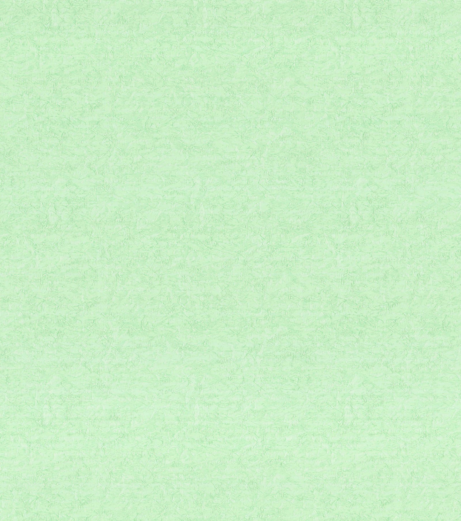 Нежно зеленый фон однотонный - фото и картинки: 72 штук