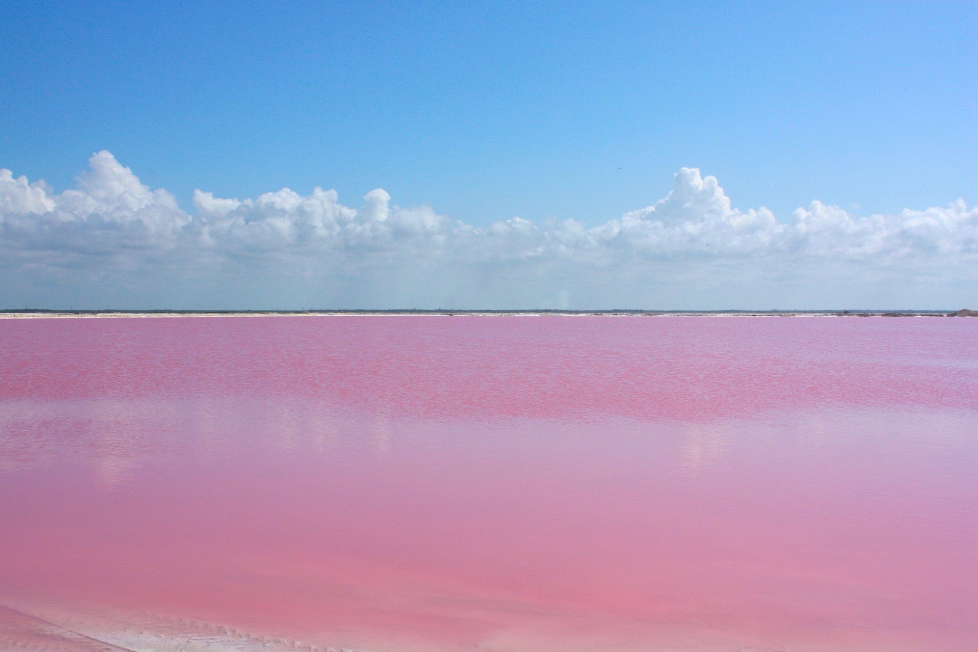 Розовое озеро саки