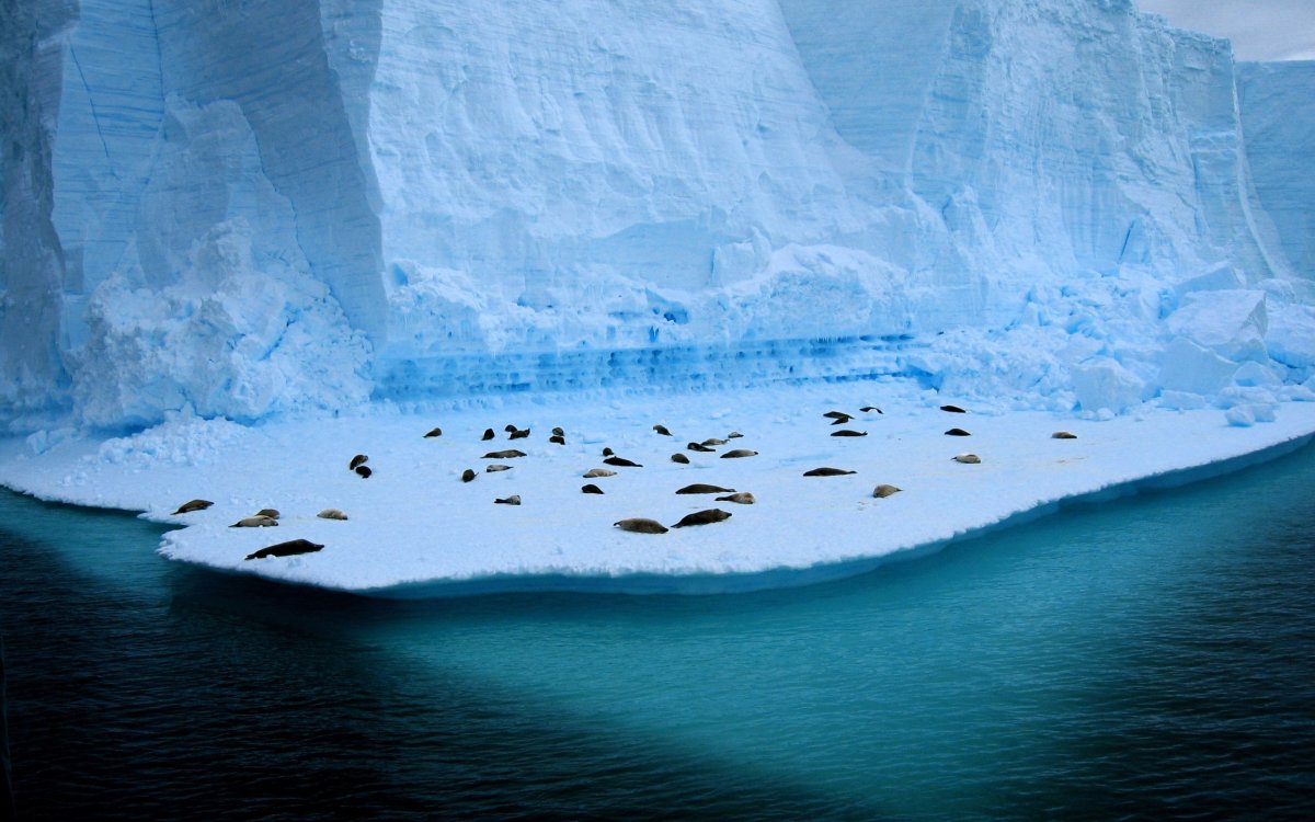 Горы антарктиды