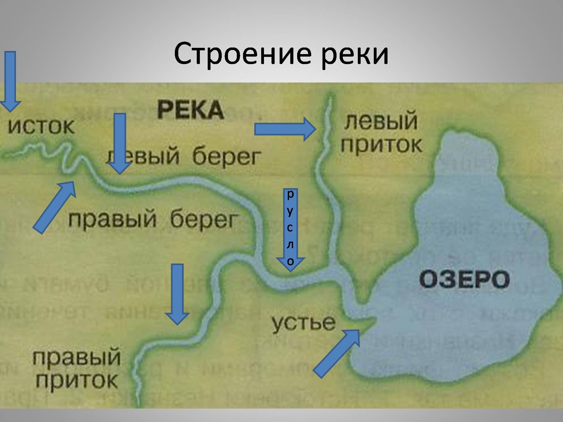 Реки россии исток и устье карта. Строение реки. Структура реки. Схема реки. Части реки схема.