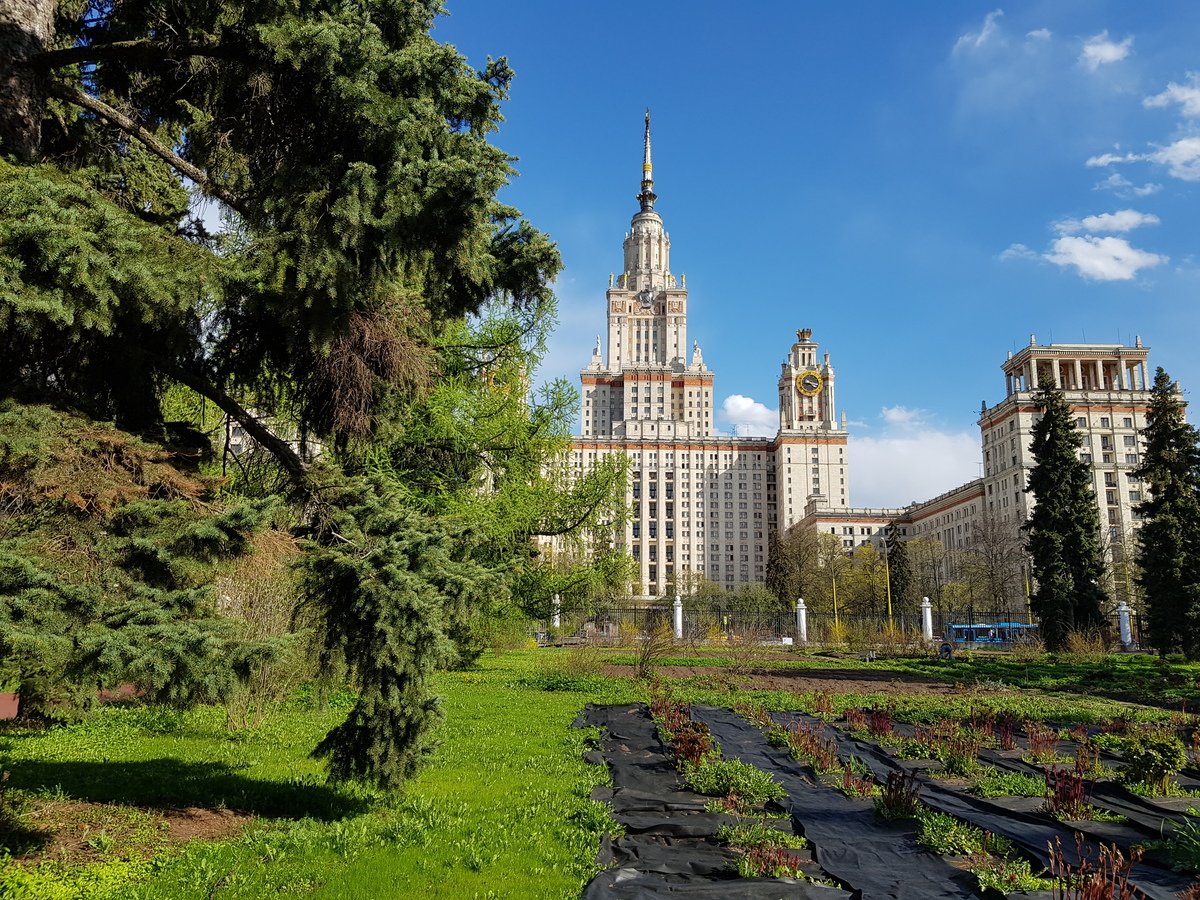 Ботанический сад мгу москва фото. Ботанический сад МГУ Москва. Ботанический сад биологического факультета МГУ. Ботанический сад МГУ на Воробьевых горах. Бот сад МГУ Воробьевы горы.