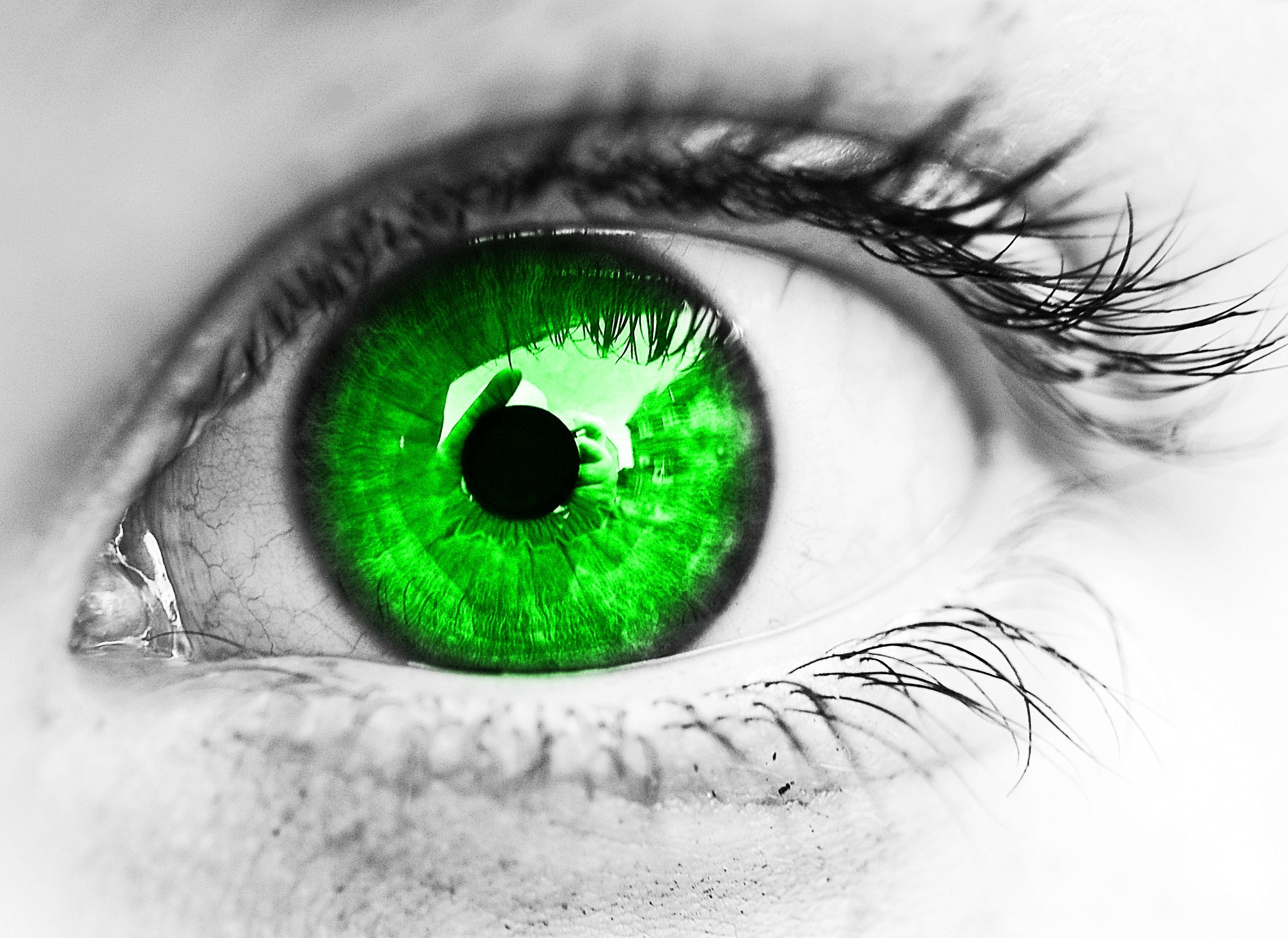 Глаз л. Изумрудный цвет глаз. Яркие зеленые глаза. Изумрудно зеленый цвет глаз. Ярко Изумрудные глаза.