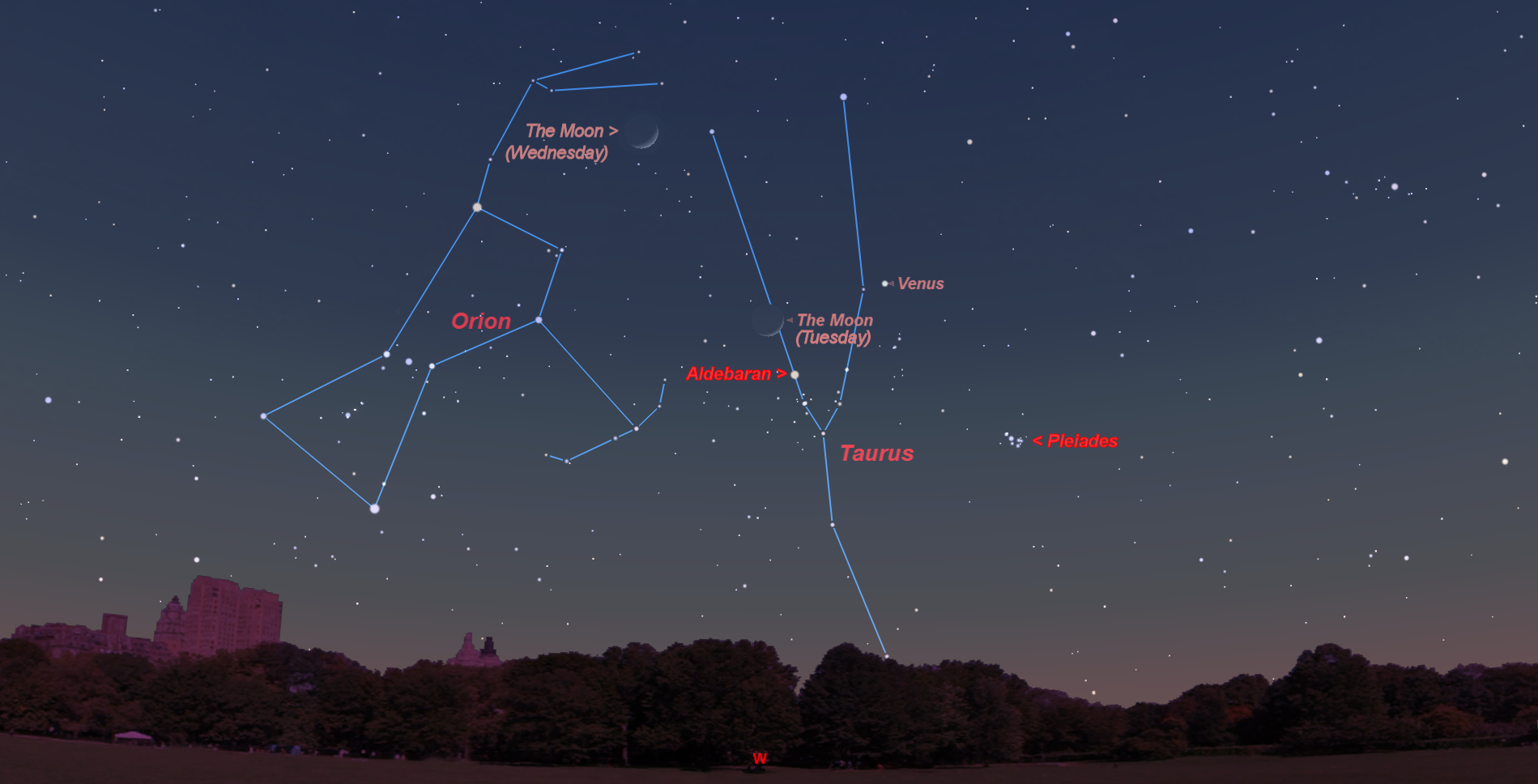 Созвездие орион на звездном небе. Бетельгейзе в созвездии Ориона. Звезда Бетельгейзе в созвездии Ориона. Созвездие Ориона в ночном небе. Пояс Ориона Созвездие Бетельгейзе.