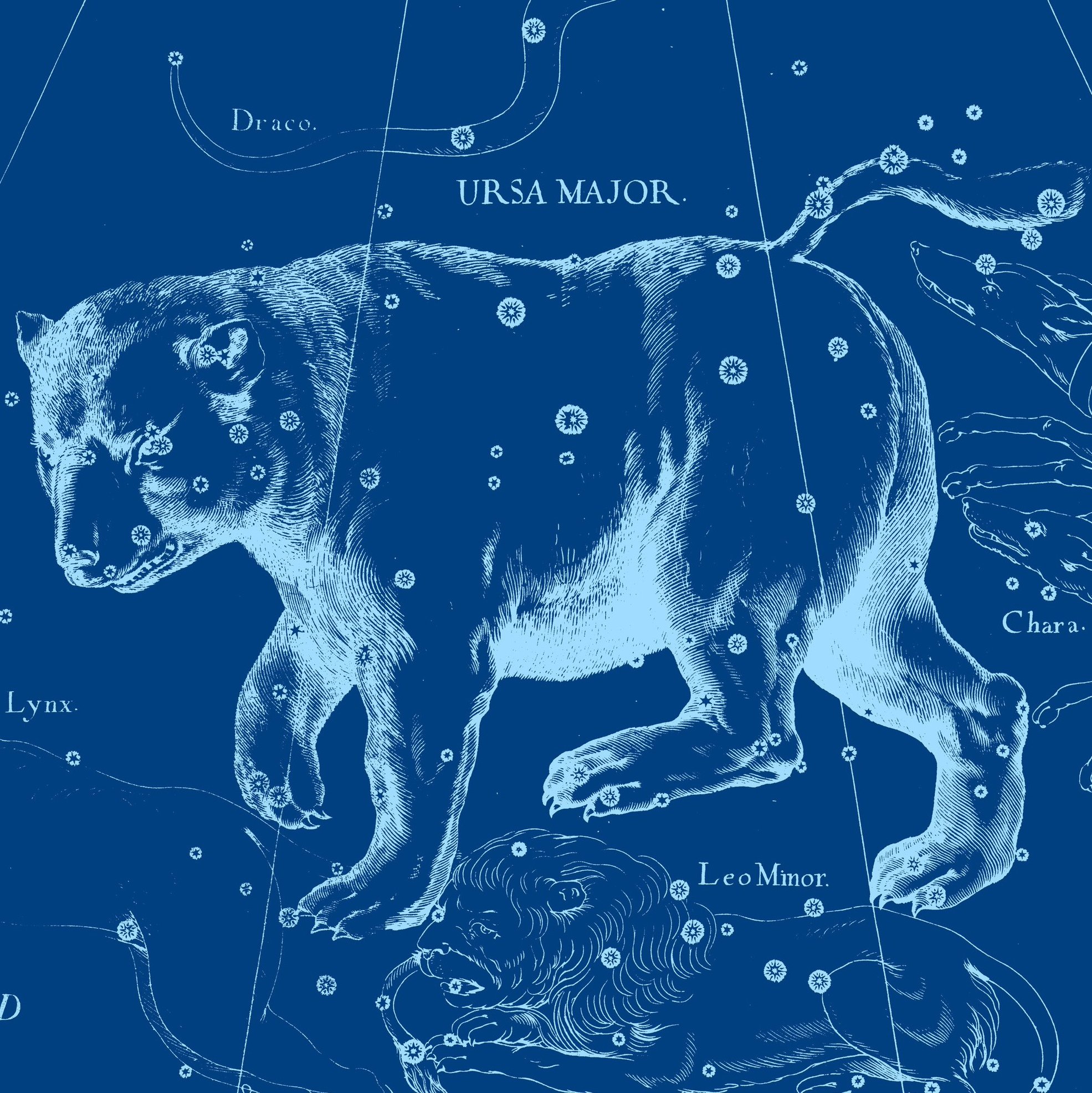 Созвездие сюжет. Созвездие большая мдве. Созвездие большой медведицы на карте звездного неба.