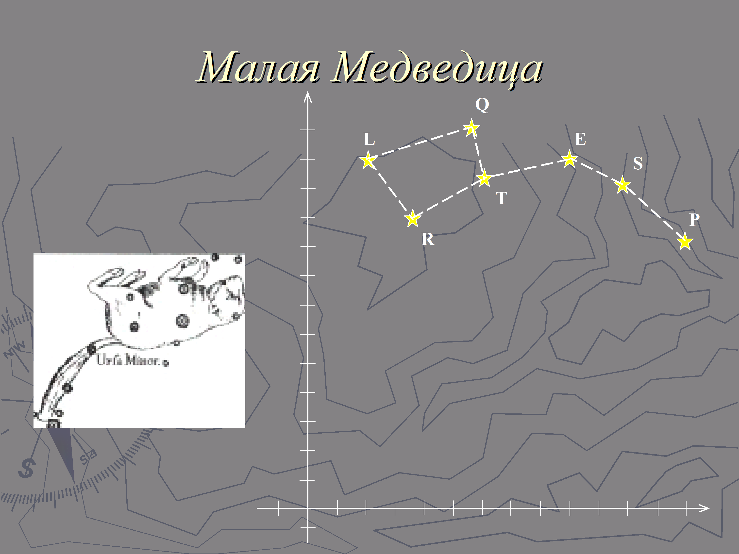 Мал медведица. Фалес малая Медведица. Созвездие малая Медведица и Полярная звезда. Созвездие малой медведицы схема. Малая Медведица рисунок.