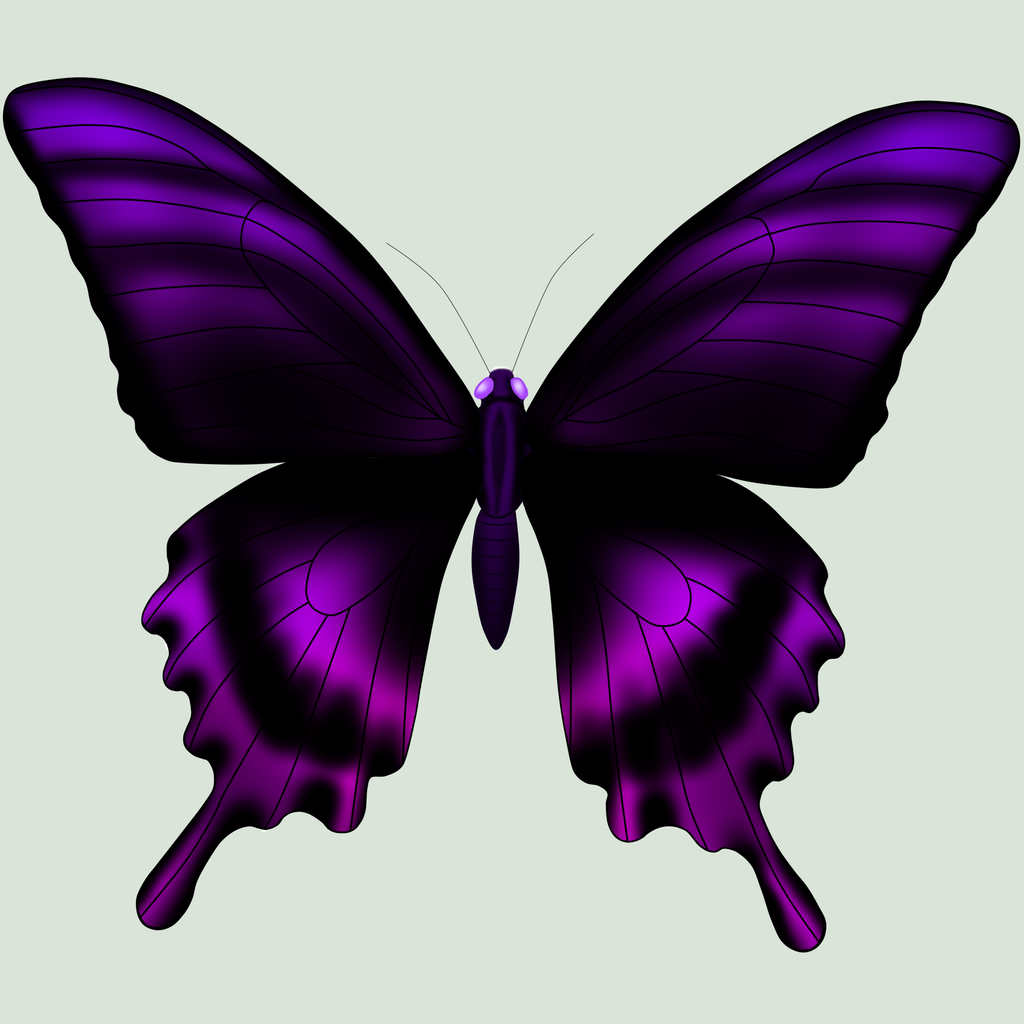 Бабочки фиолетового цвета. Бабочка фиолетовая. Бабочки сиреневые для печати. Бабочки розово фиолетовые.
