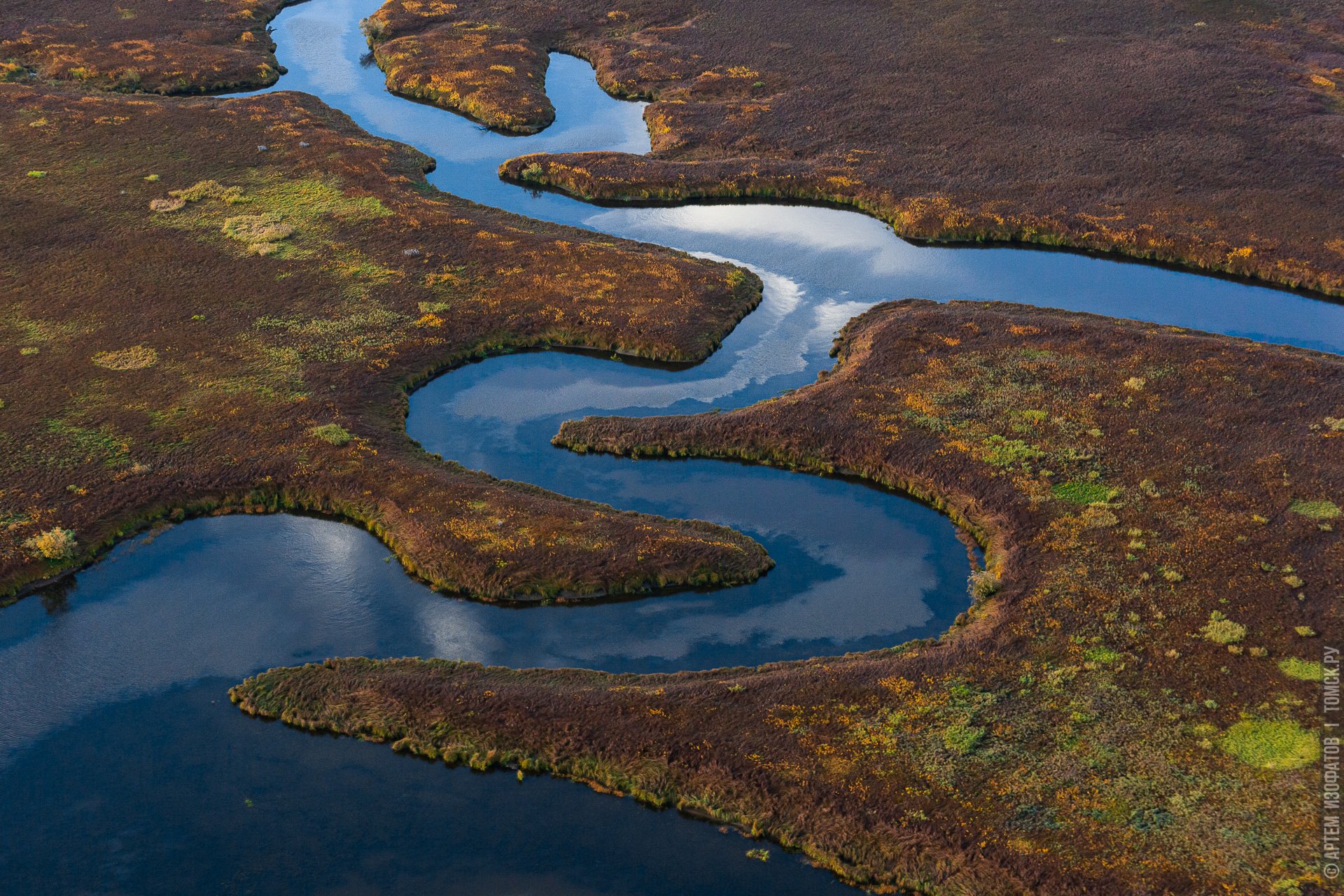 Васюганское болото Томской области