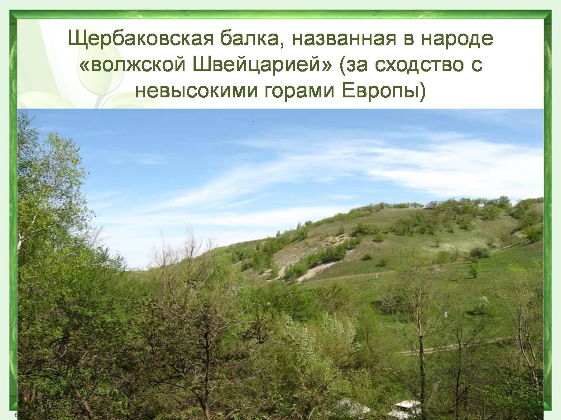 Парк Щербаковский сообщение
