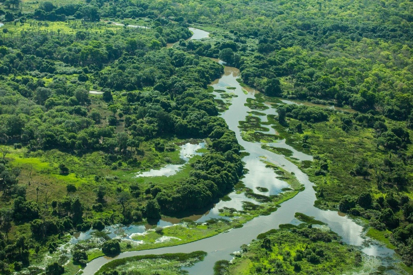 Природные воды бразилии. Национальный парк Пантанал. Пантанал Бразилия заповедник. Впадина Пантанал. Пантанал Парагвай.