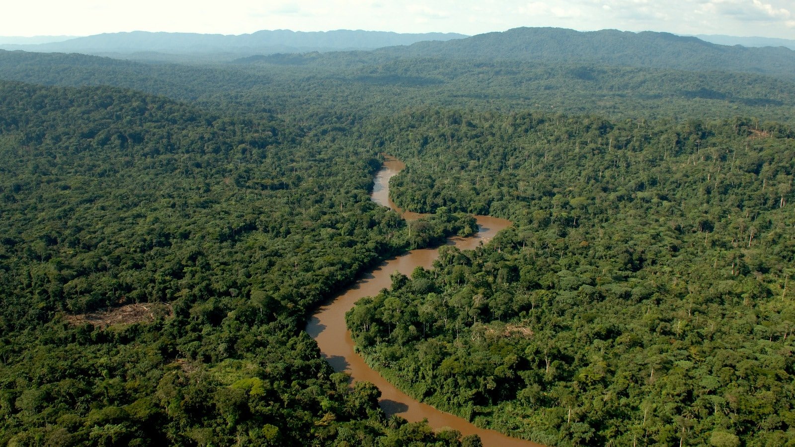 Сведение лесов в бассейнах рек приводит. Тропические леса Демократической Республики Конго. Впадина Конго. Тропические леса бассейна реки Конго. Вечнозеленые тропические леса Конго.