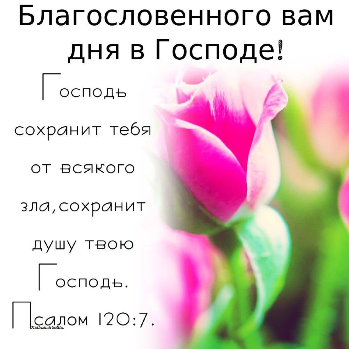 Благословенного утра. Благословенного дня. Благослословенного дня. Благословенного дня открытки. Доброе утро благословенного дня.