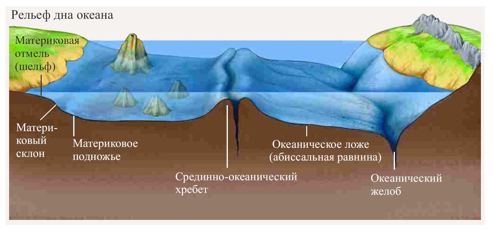 Рельеф дна океана 5 класс. Рельеф дна мирового океана. Рельеф дна мирового океана схема. Схема рельефа океанического дна. Строение рельефа дна мирового океана.