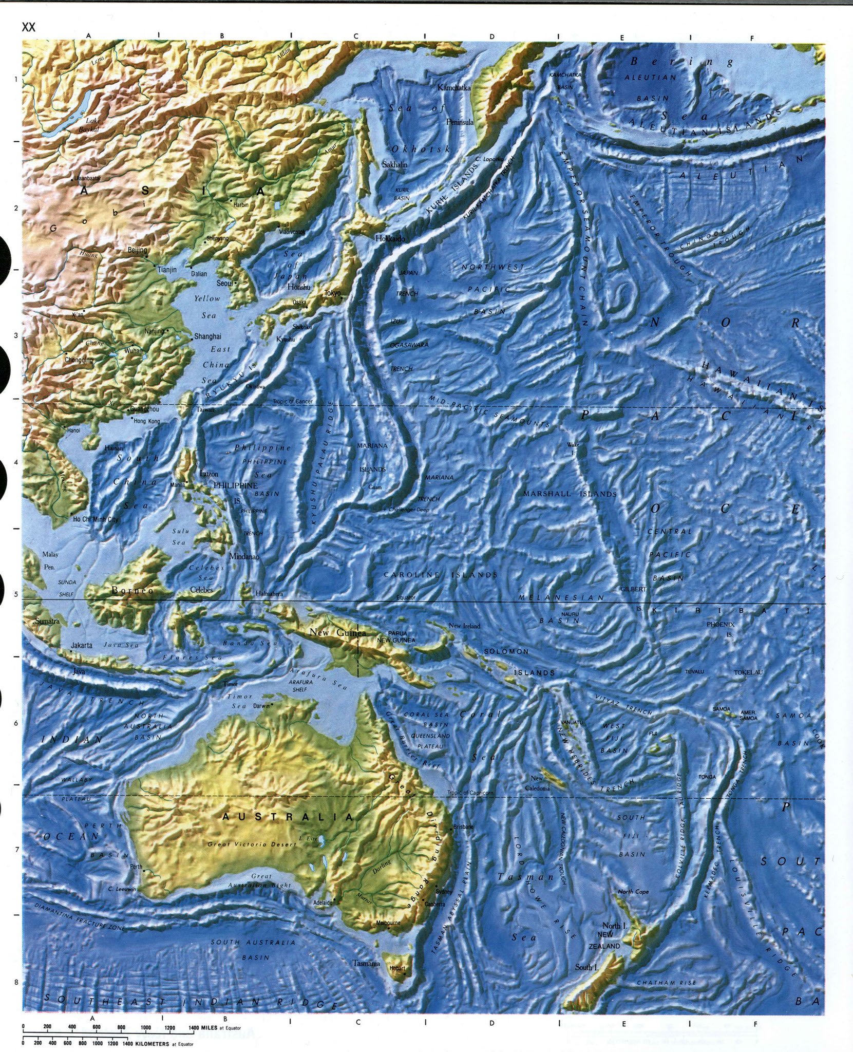 Впадины океанов рельеф. Карта рельефа дна Тихого океана. Рельеф дна океана Тихого океана карта. Рельеф дна Тихого океана. Рельеф дна индийского океана.